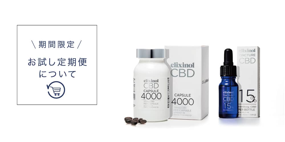 定期便のご案内